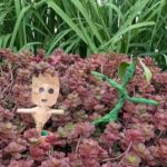 Atelier enfant jeune public moselle jardins fruitiers