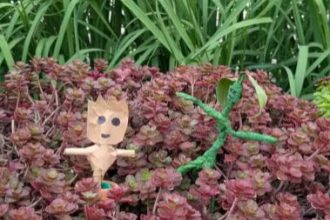 Atelier enfant jeune public moselle jardins fruitiers