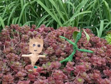 Atelier enfant jeune public moselle jardins fruitiers