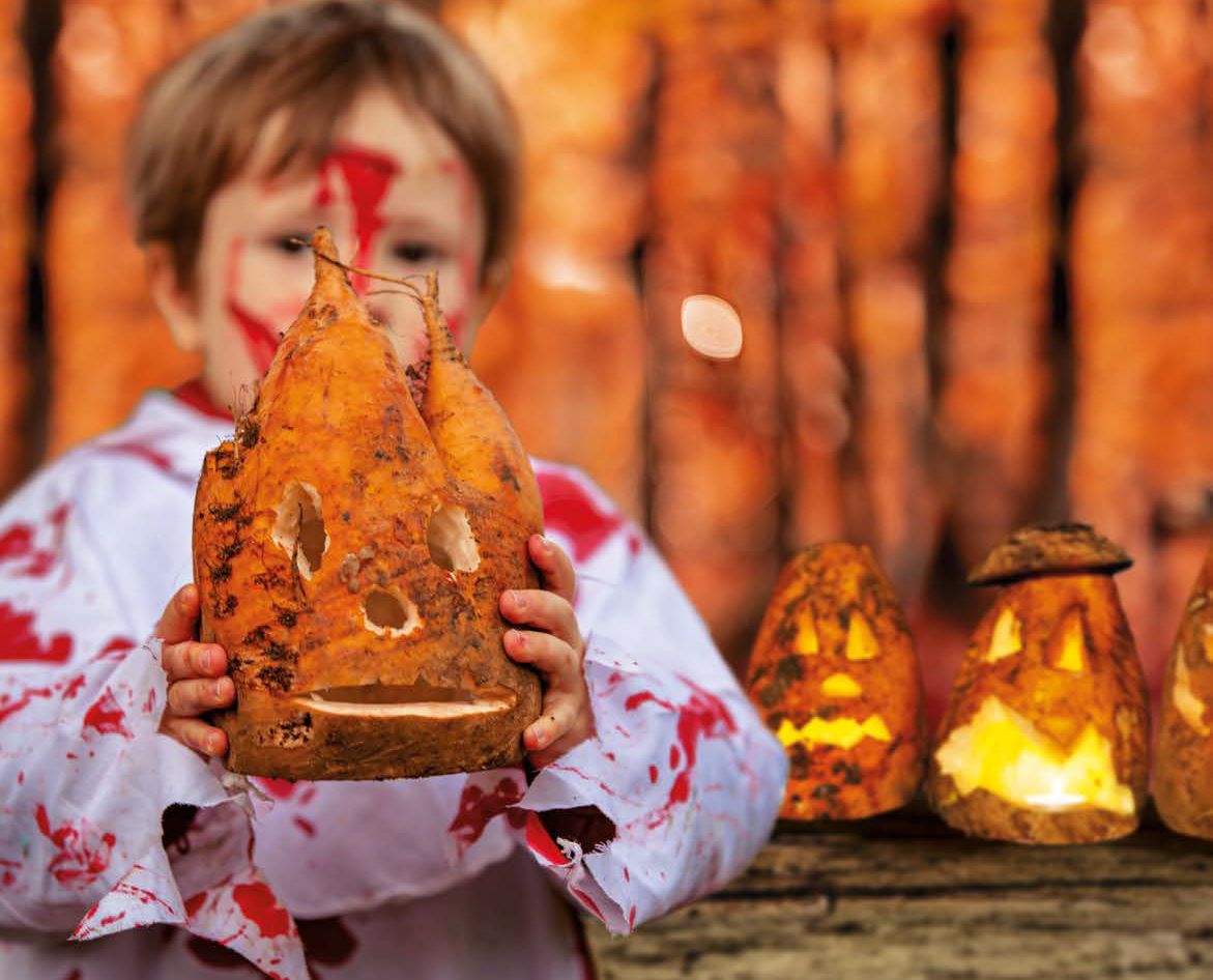 Festival Bêtes et Sorcières 2026 au château de Malbrouck en Moselle pour les enfants et les familles
