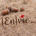 Spectacle enfant Envie, Patatram 33, Talange